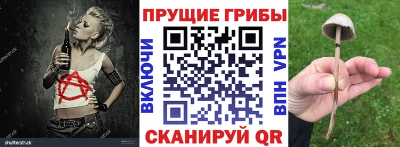 Псилоцибиновые грибы MAGIC MUSHROOMS  хочу наркоту  Смоленск 