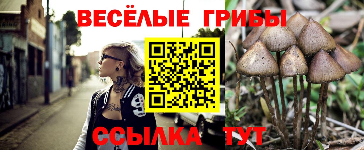 Псилоцибиновые грибы ЛСД  Галлюциногенные грибы мицелий  Вход с VPN  Смоленск 